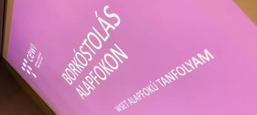 CEWI alapfok – tanulj szórakozva! című cikk borítóképe