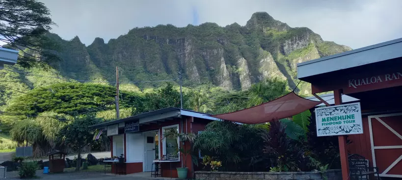 Hawaii, az ízek szigete – pénztárcakímélő praktikák című cikk borítóképe