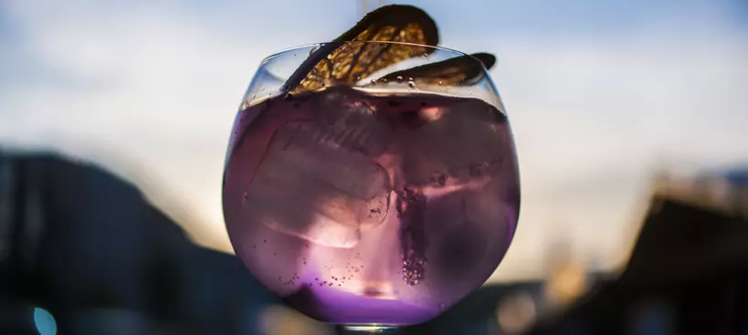 A Gourmet, ahogy mi láttuk című cikk borítóképe