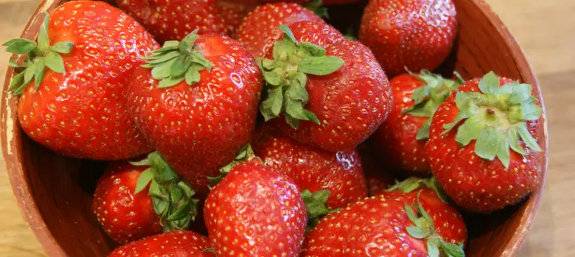 Az eper, ami igazából szamóca című cikk borítóképe