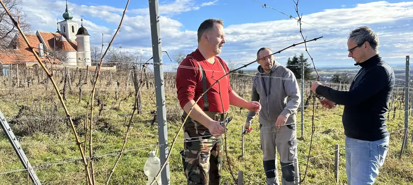 Eljött a húsvét című cikk borítóképe
