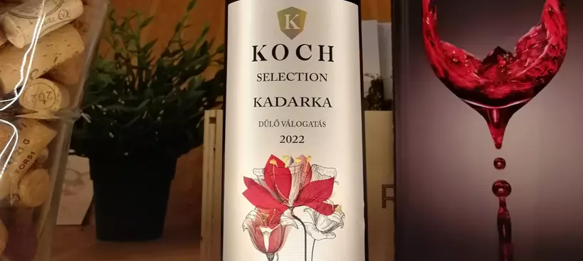 Koch Borászat: Selection Kadarka Dűlőválogatás 2022 című cikk borítóképe