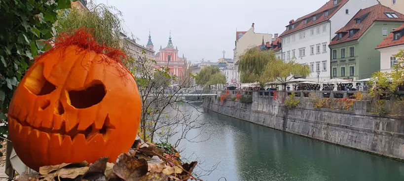 Szolid hedonizmus a hidak városában című cikk borítóképe