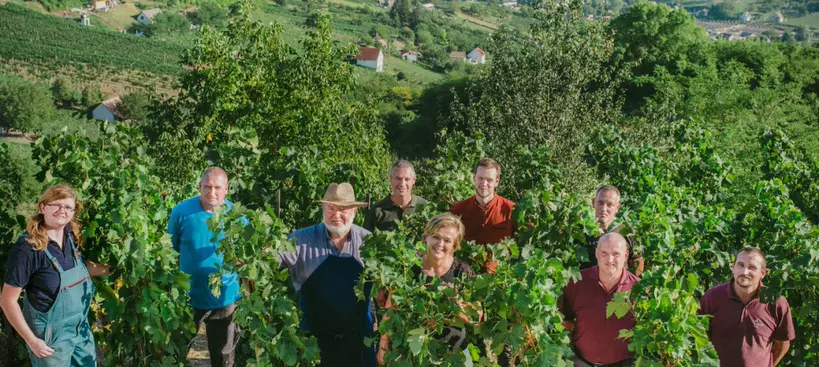 Szüreti körkép című cikk borítóképe