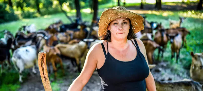 Kinga Kamrája című cikk borítóképe