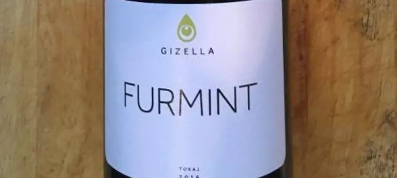 Gizella Pince: Furmint 2016 című cikk borítóképe