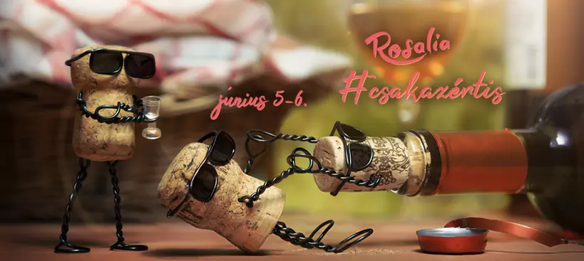 Rosalia #csakazértis című cikk borítóképe