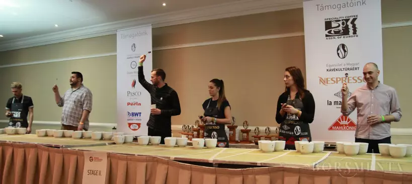 Így (nem) lettem Cup Tasters bajnok című cikk borítóképe