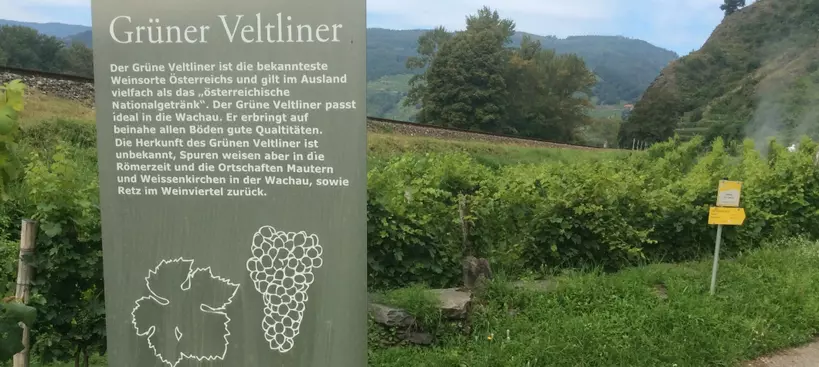 Wachau két keréken című cikk borítóképe