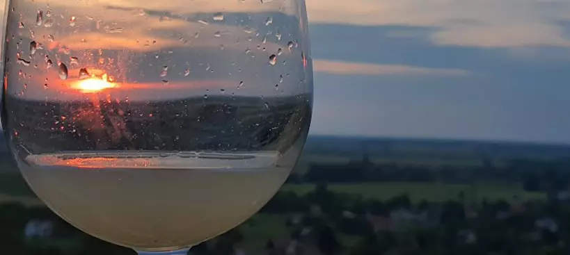 Bor és panoráma című cikk borítóképe