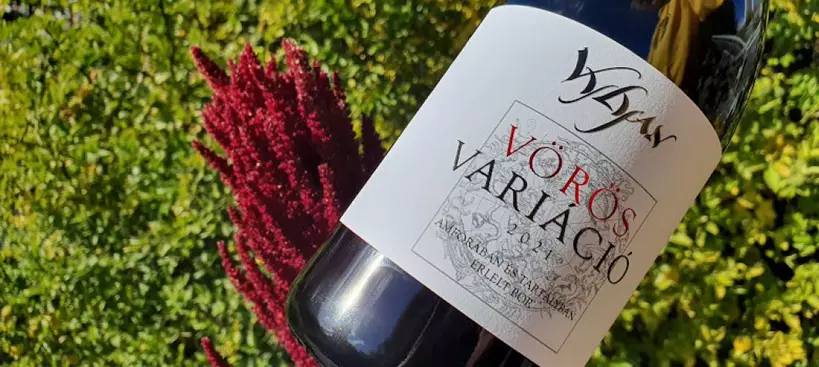 Variáció vörösben című cikk borítóképe