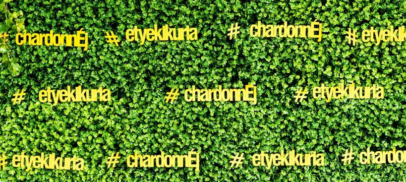 ChardonnÉJ Etyeken – ott a helyünk! című cikk borítóképe