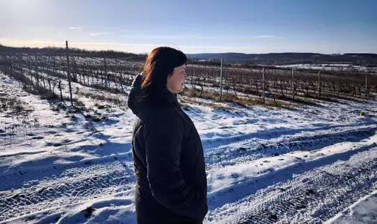  című cikk borítóképe