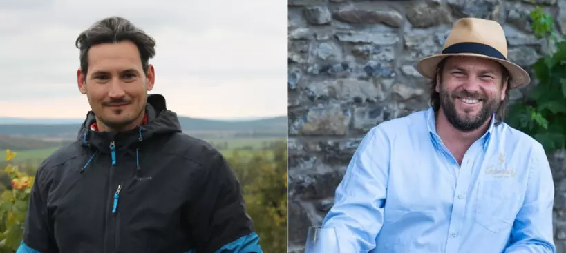 Istvándy és Istvándi című cikk borítóképe