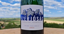 Boroslány Borműhely: Ezerjóság Ezerjó Brut Nature 2023 című cikk borítóképe