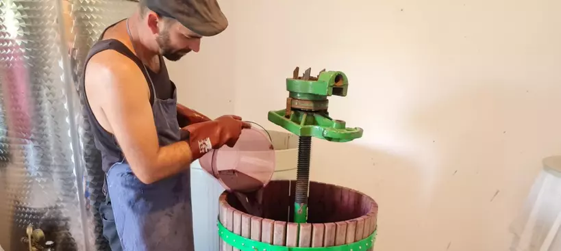 A természet tökéletlen tökéletessége című cikk borítóképe