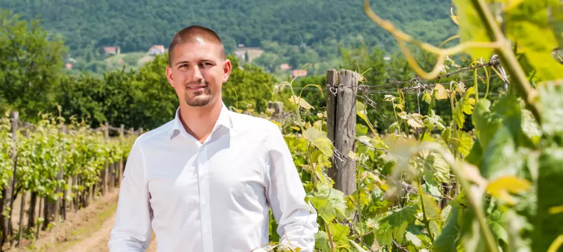 Csodálatos országban élünk című cikk borítóképe