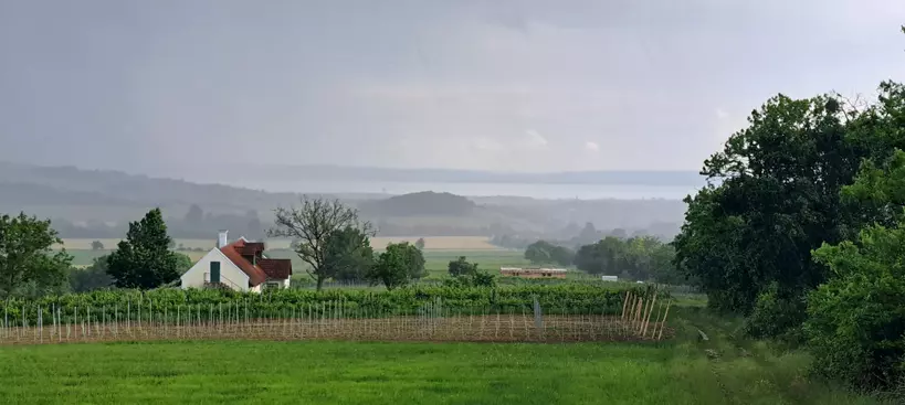 Ismeretlen ismerős: a Border Birtok című cikk borítóképe