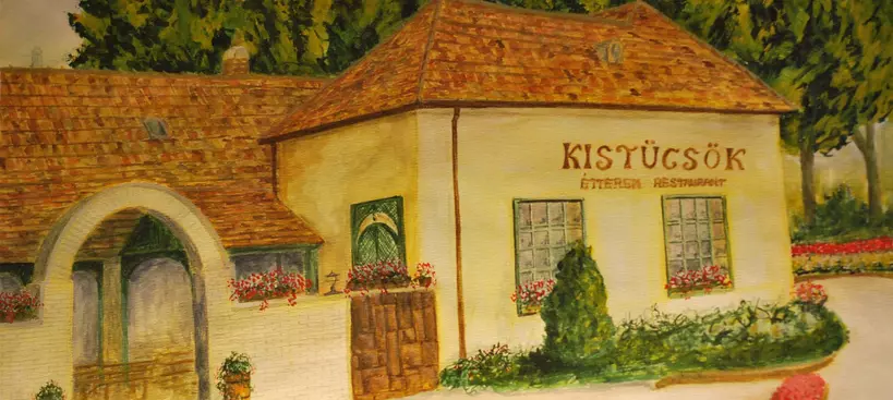 30 éves a Kistücsök! című cikk borítóképe