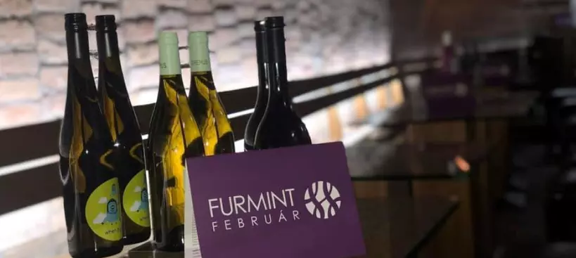 Itt a 13. Furmint Február Nagy Kóstoló! című cikk borítóképe