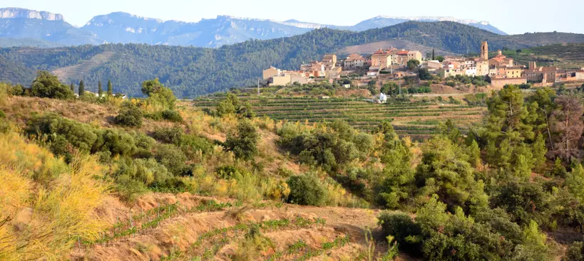 Priorat, a katalán borok fellegvára című cikk borítóképe