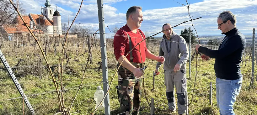 Új év, új remények című cikk borítóképe