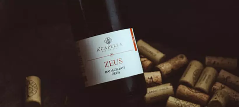 Egy este a Zeus Borbárban című cikk borítóképe