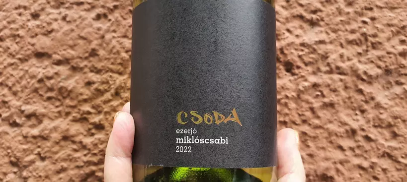 Miklós Csabi Pincészet: Csoda Ezerjó 2022 című cikk borítóképe