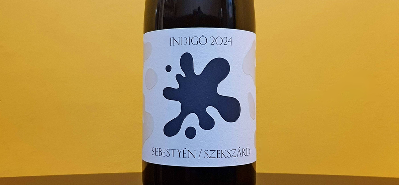Sebestyén Pince: Indigó 2024 című cikk borítóképe