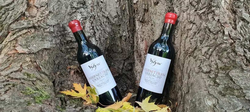 Variáció „cabernet franc” témára című cikk borítóképe