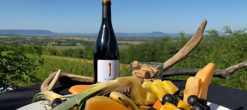 Piknik a szőlőben című cikk borítóképe