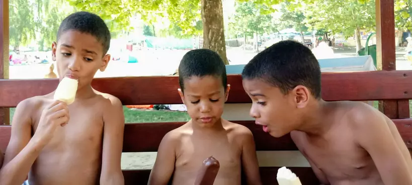 A cumifa és a vízibolhák című cikk borítóképe