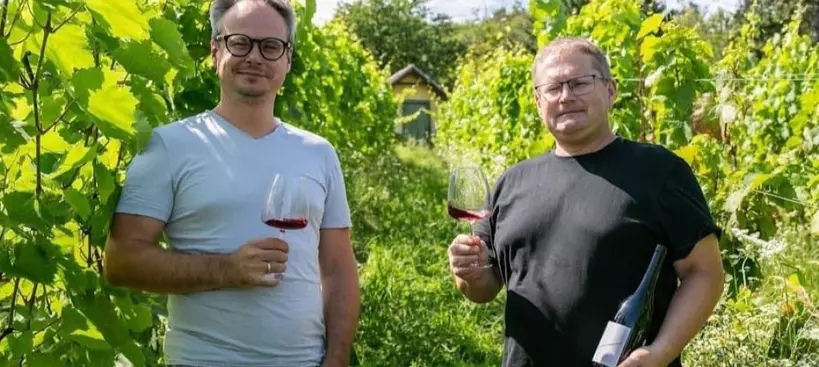 Egyre jobbak a kőszegi borok! című cikk borítóképe