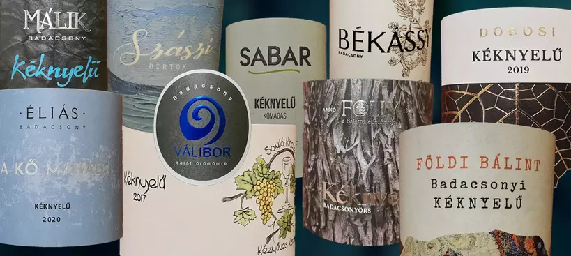 Kéknyelűteszt című cikk borítóképe