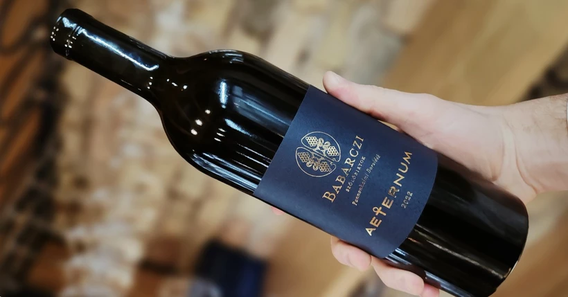 Megérkezett a Pannonhalmi Aeternum! című cikk borítóképe