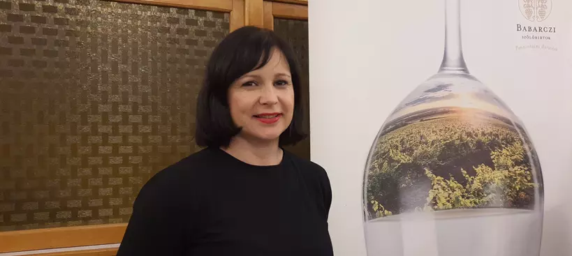 Fehérvári Bormustra – hatodszor című cikk borítóképe