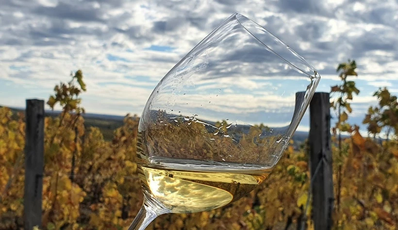 Ezek voltak 2025 legjobb fehérborai című cikk borítóképe