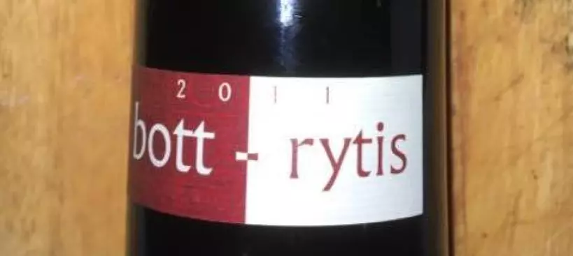 Bott Pince: Bott-rytis 2011 című cikk borítóképe