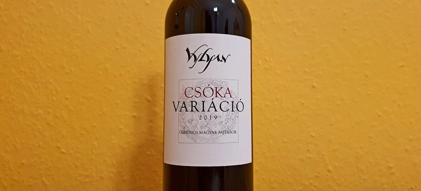 Vylyan Pincészet: Csóka Variáció 2019 című cikk borítóképe