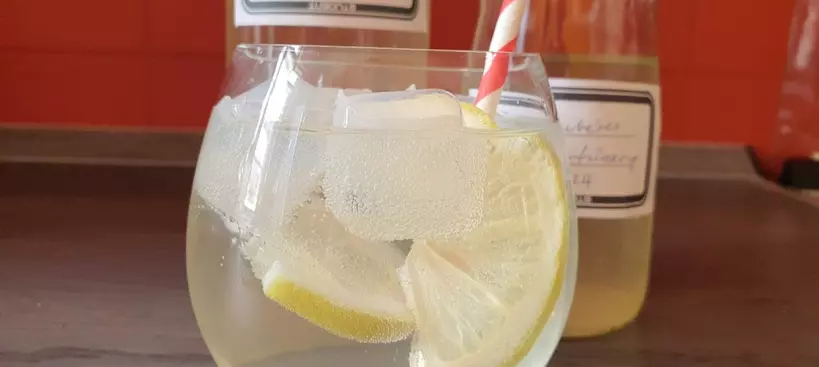 Gyömbéres citromfűszörp című cikk borítóképe