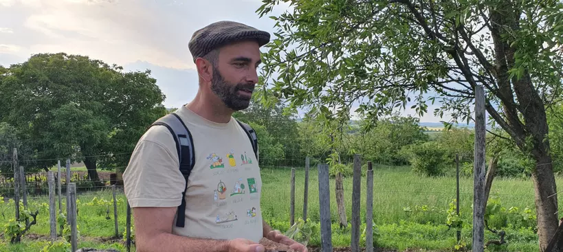Hab a tortán című cikk borítóképe