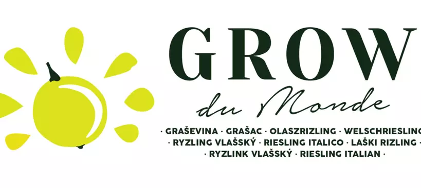 Olaszrizling-világbajnokság Balatonfüreden! című cikk borítóképe