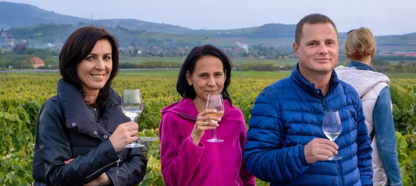 Mulatság a szőlőben című cikk borítóképe