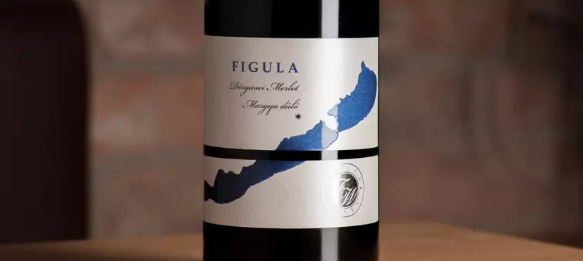 Figula Pincészet: Dörgicsei Merlot (Margya-dűlő) 2017 című cikk borítóképe