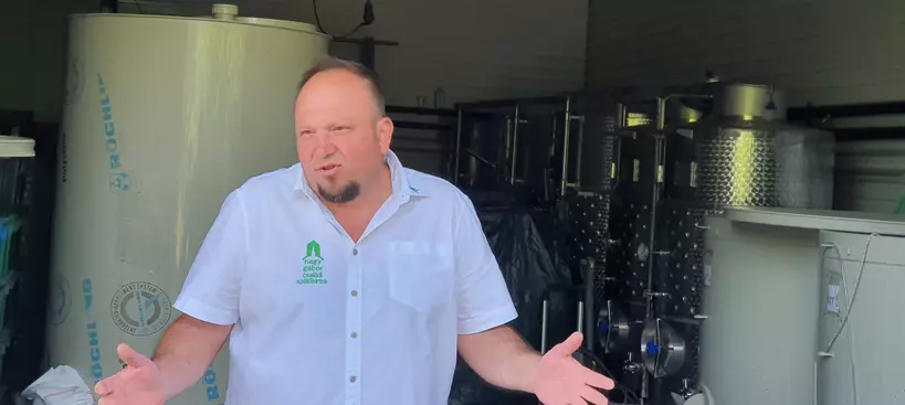 A hegybíró bora című cikk borítóképe
