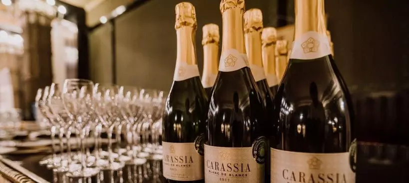 A Carassia csillogása című cikk borítóképe