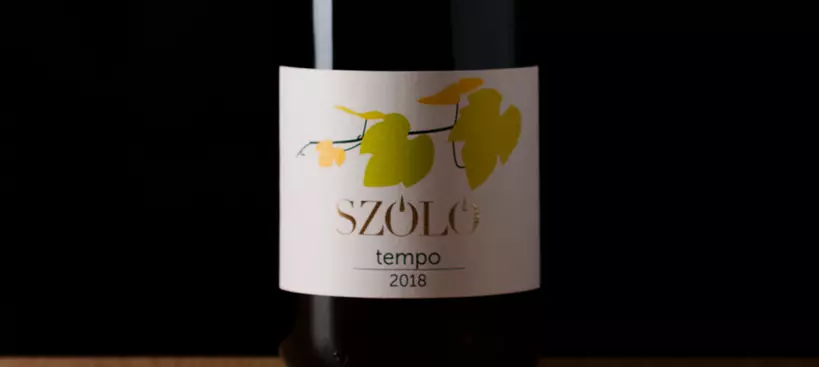 SZÓLÓ: Tempo 2018 című cikk borítóképe