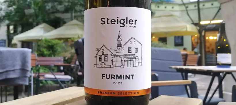 Steigler Pince: Prémium Bio Furmint 2023 című cikk borítóképe