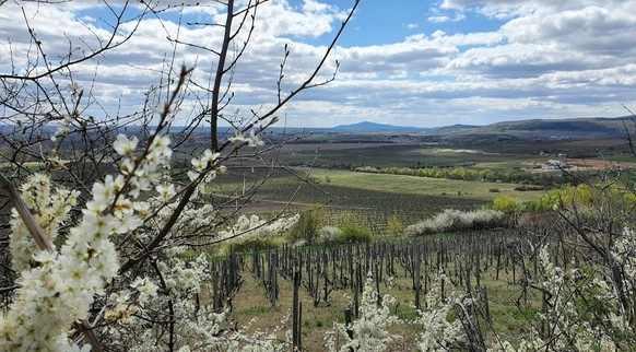 című cikk borítóképe