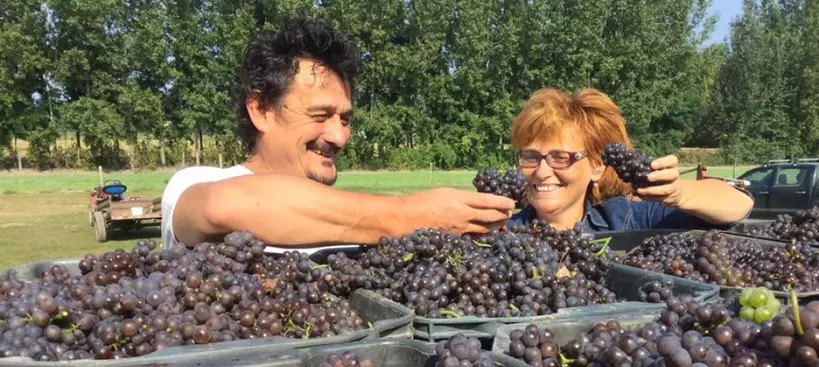 Szerelem gyümölcse a Csepel-szigeten című cikk borítóképe